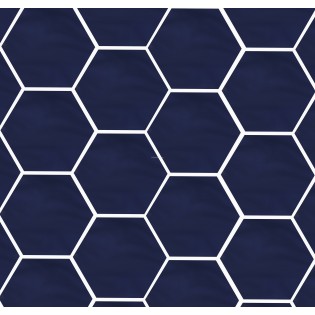 Mexican Talavera Hexagonal Tile